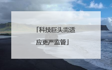 科技巨头需适应更严监管