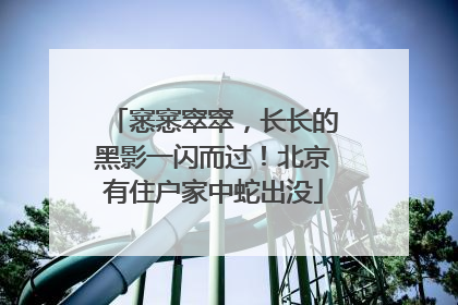 窸窸窣窣，长长的黑影一闪而过！北京有住户家中蛇出没