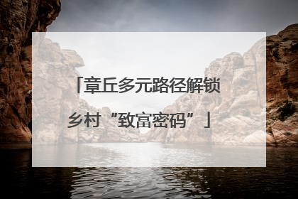 章丘多元路径解锁乡村“致富密码”