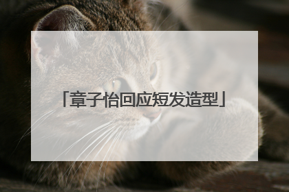 章子怡回应短发造型