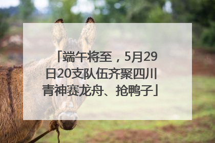 端午将至，5月29日20支队伍齐聚四川青神赛龙舟、抢鸭子