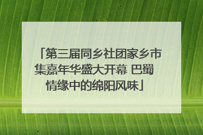 第三届同乡社团家乡市集嘉年华盛大开幕 巴蜀情缘中的绵阳风味