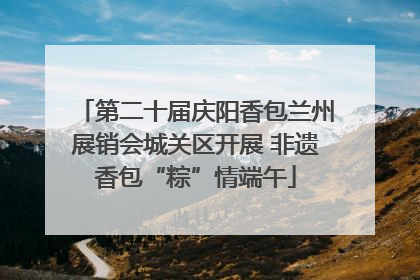 第二十届庆阳香包兰州展销会城关区开展 非遗香包“粽”情端午