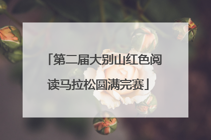 第二届大别山红色阅读马拉松圆满完赛