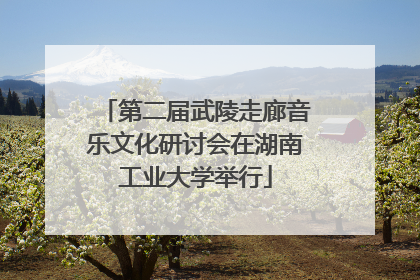 第二届武陵走廊音乐文化研讨会在湖南工业大学举行