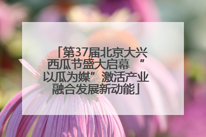 第37届北京大兴西瓜节盛大启幕 “以瓜为媒”激活产业融合发展新动能