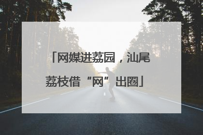 网媒进荔园，汕尾荔枝借“网”出圈