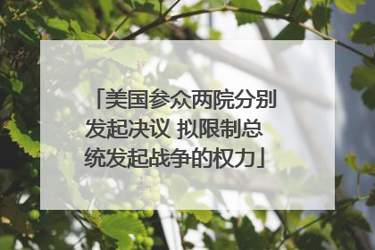 美国参众两院分别发起决议 拟限制总统发起战争的权力