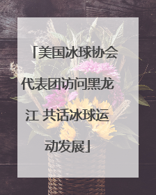美国冰球协会代表团访问黑龙江 共话冰球运动发展