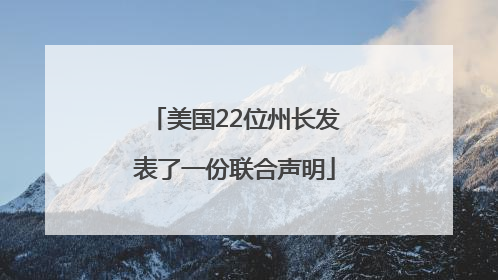 美国22位州长发表了一份联合声明