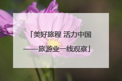 美好旅程 活力中国——旅游业一线观察
