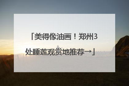 美得像油画！郑州3处睡莲观赏地推荐→