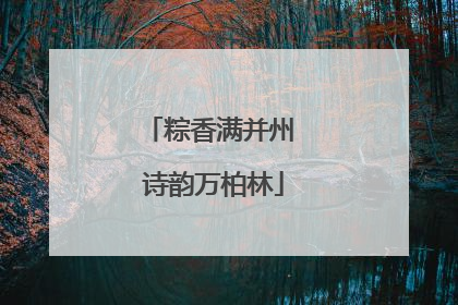 粽香满并州 诗韵万柏林