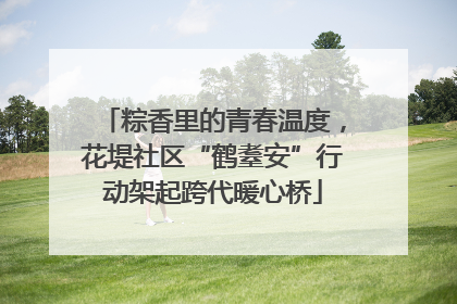 粽香里的青春温度，花堤社区“鹤耋安”行动架起跨代暖心桥