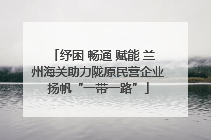 纾困 畅通 赋能 兰州海关助力陇原民营企业扬帆“一带一路”