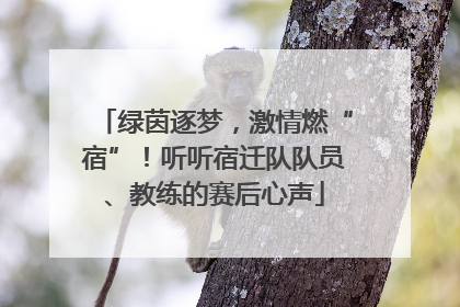绿茵逐梦，激情燃“宿”！听听宿迁队队员、教练的赛后心声