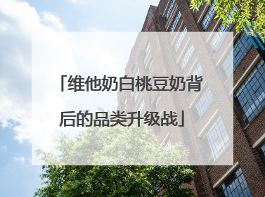 维他奶白桃豆奶背后的品类升级战