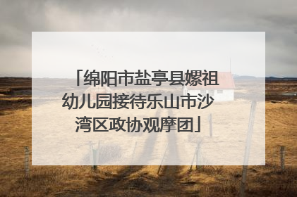 绵阳市盐亭县嫘祖幼儿园接待乐山市沙湾区政协观摩团