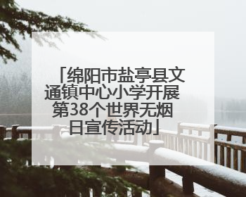 绵阳市盐亭县文通镇中心小学开展第38个世界无烟日宣传活动