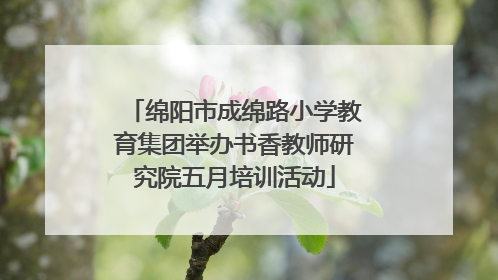 绵阳市成绵路小学教育集团举办书香教师研究院五月培训活动