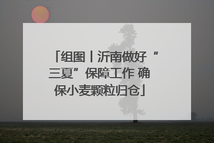 组图丨沂南做好“三夏”保障工作 确保小麦颗粒归仓