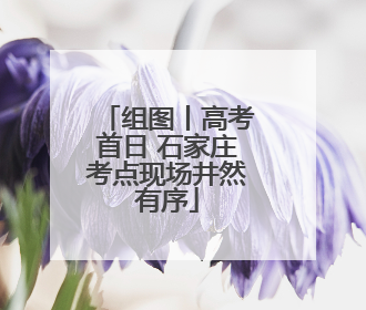 组图丨高考首日 石家庄考点现场井然有序