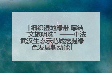 细织湿地绿带 厚结“文旅明珠”——中法武汉生态示范城挖掘绿色发展新动能