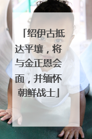 绍伊古抵达平壤，将与金正恩会面，并缅怀朝鲜战士