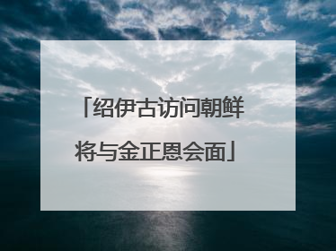 绍伊古访问朝鲜 将与金正恩会面