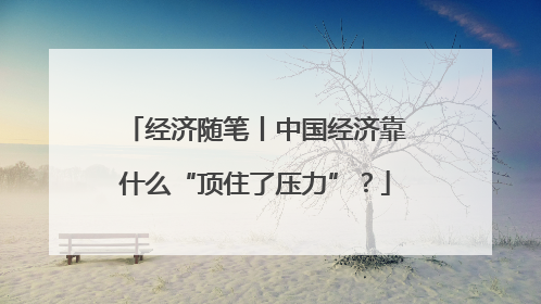 经济随笔丨中国经济靠什么“顶住了压力”？