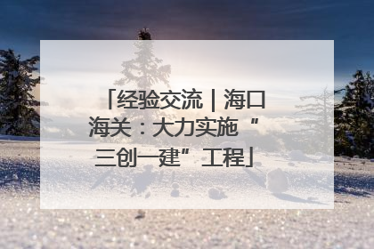 经验交流｜海口海关：大力实施“三创一建”工程