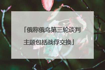 俄称俄乌第三轮谈判主题包括战俘交换