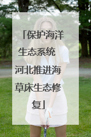 保护海洋生态系统 河北推进海草床生态修复