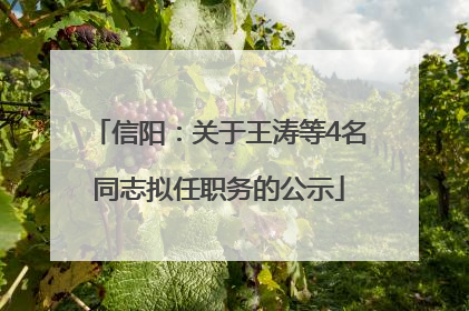 信阳：关于王涛等4名同志拟任职务的公示