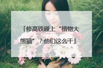 修高铁碰上“植物大熊猫”？他们这么干