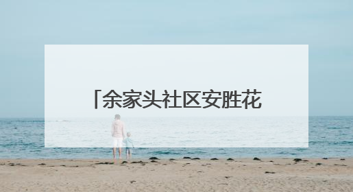 余家头社区安胜花园片区党支部开展廉政主题党日活动