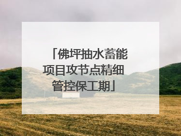 佛坪抽水蓄能项目攻节点精细管控保工期