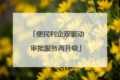 便民利企双驱动 审批服务再升级