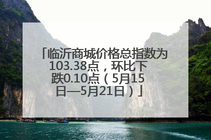临沂商城价格总指数为103.38点，环比下跌0.10点（5月15日—5月21日）