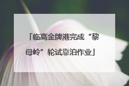 临高金牌港完成“黎母岭”轮试靠泊作业