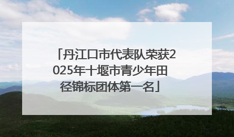 丹江口市代表队荣获2025年十堰市青少年田径锦标团体第一名