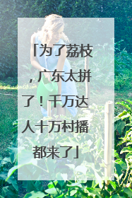 为了荔枝，广东太拼了！千万达人十万村播都来了