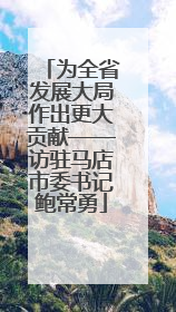 为全省发展大局作出更大贡献——访驻马店市委书记鲍常勇