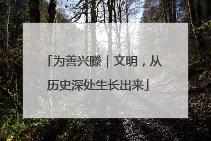 为善兴滕｜文明，从历史深处生长出来