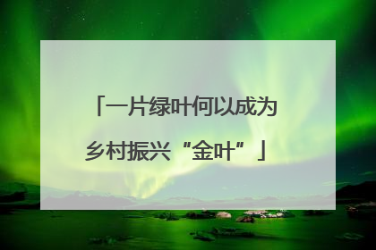 一片绿叶何以成为乡村振兴“金叶”