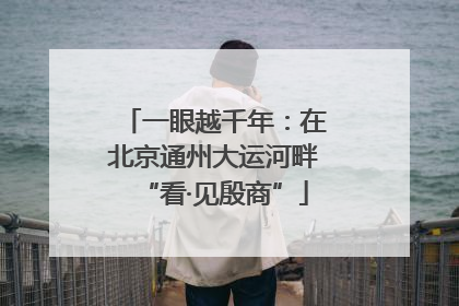 一眼越千年：在北京通州大运河畔“看·见殷商”