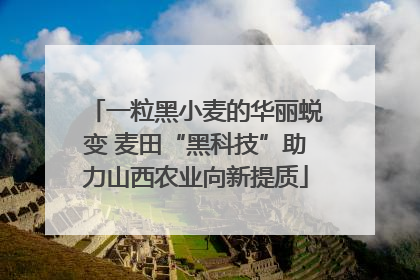 一粒黑小麦的华丽蜕变 麦田“黑科技”助力山西农业向新提质