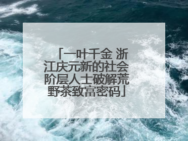 一叶千金 浙江庆元新的社会阶层人士破解荒野茶致富密码