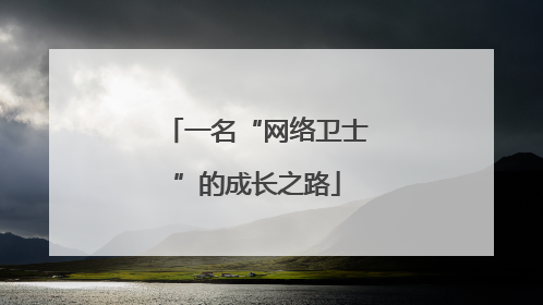 一名“网络卫士”的成长之路