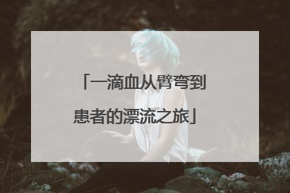 一滴血从臂弯到患者的漂流之旅